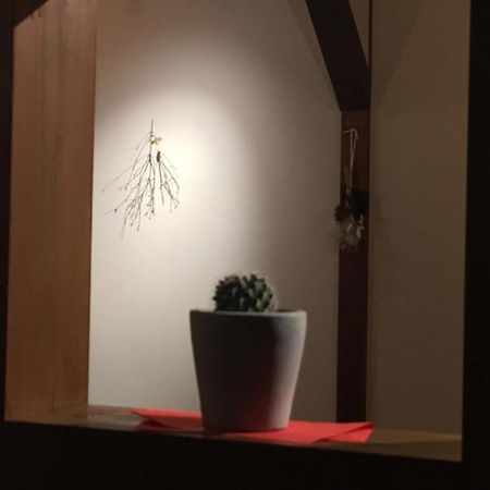 Kinosaki Knot Female Only Dormitory - Vacation Stay 25710V Tayooka Eksteriør bilde